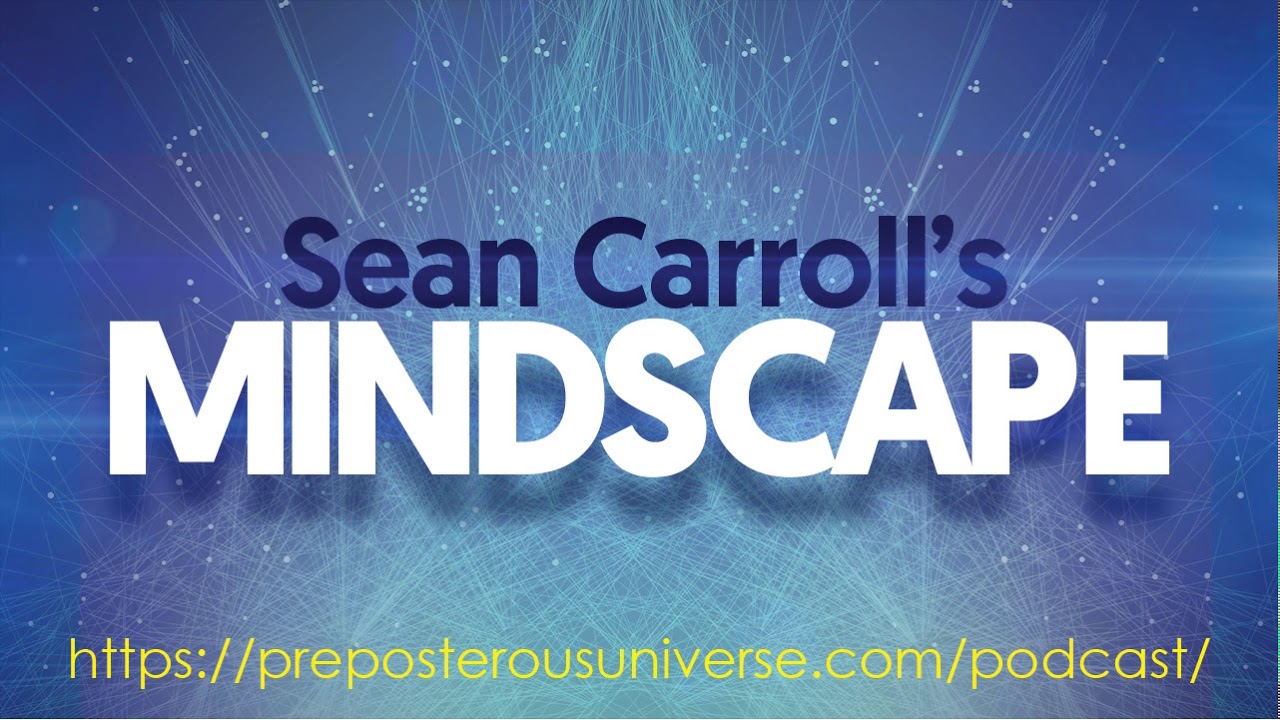 Mindscape 102 | Maria Konnikova on Poker, Psychology, and Reason