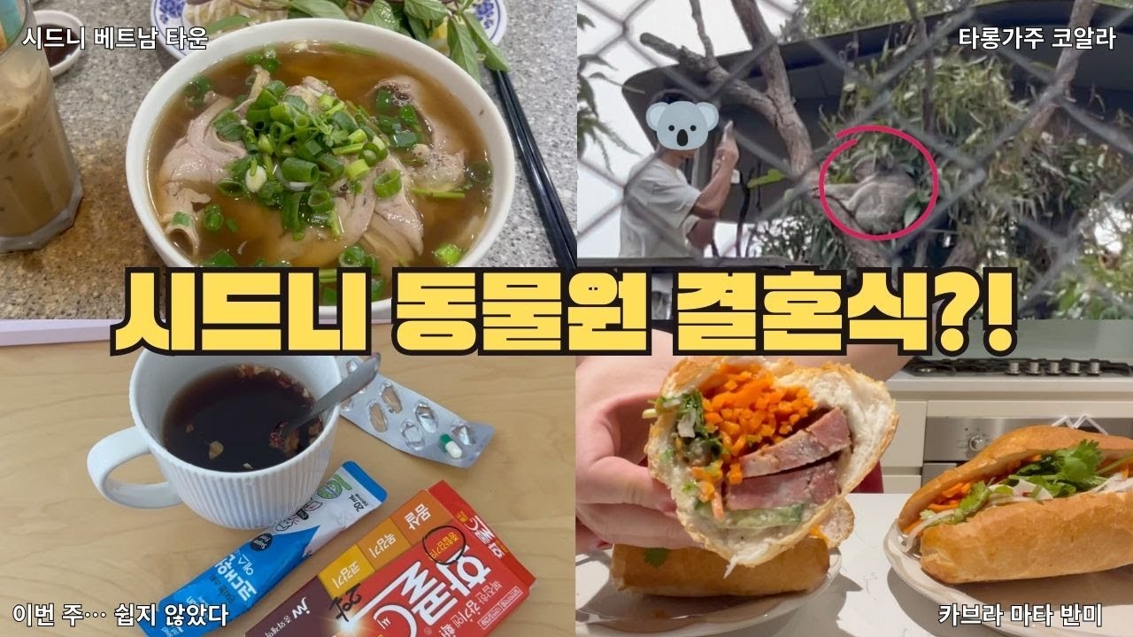 시드니 동물원에서 결혼식을 한다고요…? / 시드니안 베트남 다녀온 하루 | 호주 사는 N잡러 VLOG (타롱가주 / 카브라마타 / 시드니 맛집 / 출장 메이크업/ 출근)