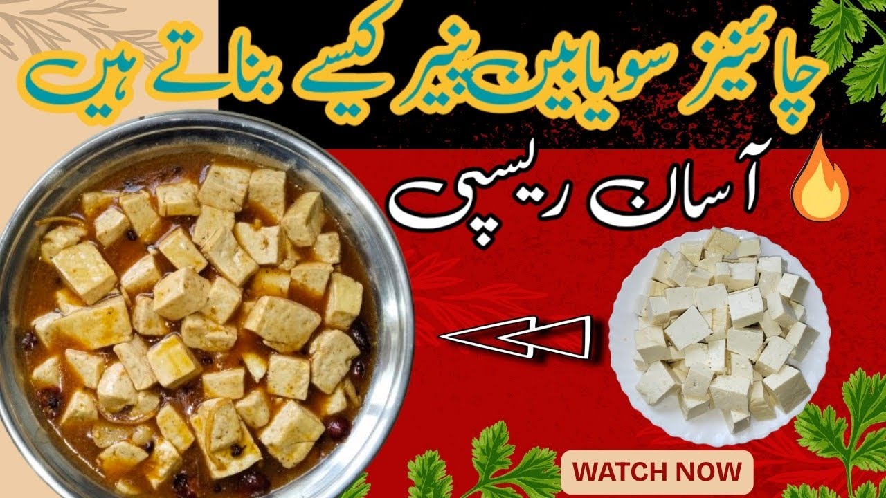 چائنیز سویا بین پنیر کی شاندار ریسپی | Easy Tofu Recipe | Chinese Food Touch