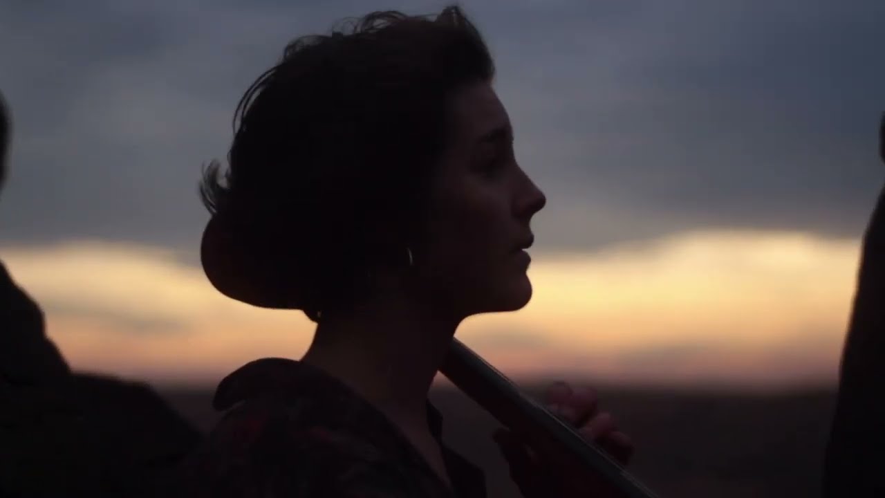Wild Theme - Cello Cover