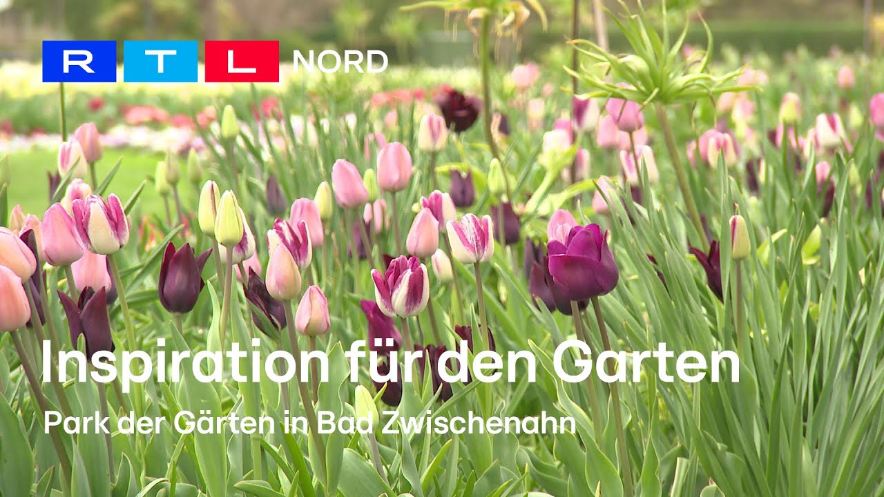 Ideen und Tipps für euren Garten? Im Park der Gärten gibt es viel zu entdecken