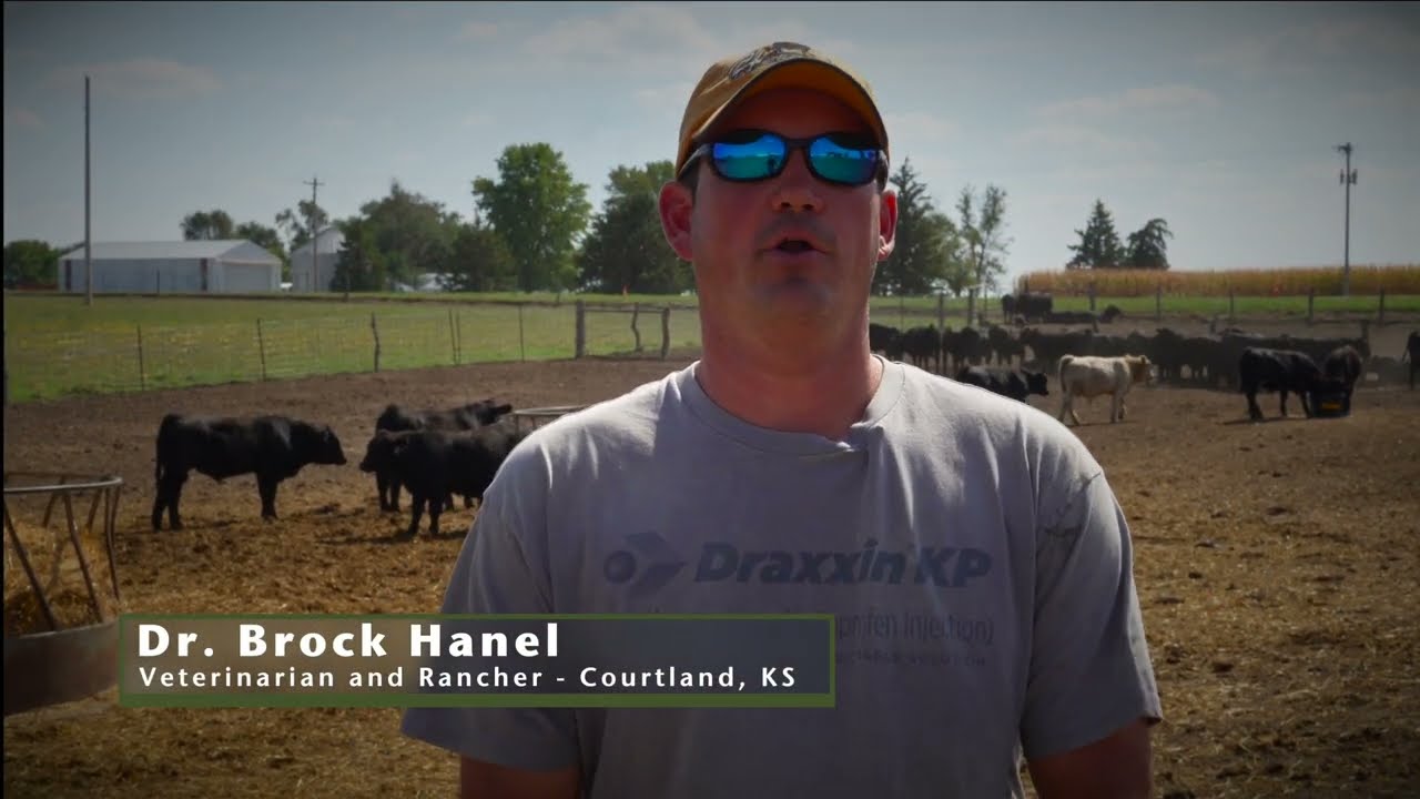 FerAppease & Cattle Welfare with Dr. Brock Hanel