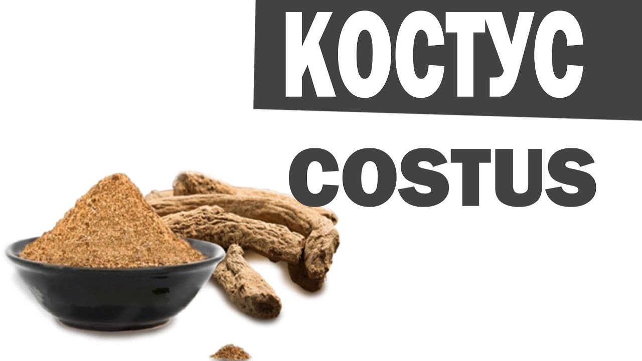 Лечебные свойства Костус. Costus. Аюрведа Здесь
