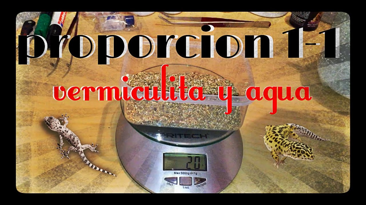 Tutorial Incubación | Como hacer la proporción de vermiculita y agua 1-1