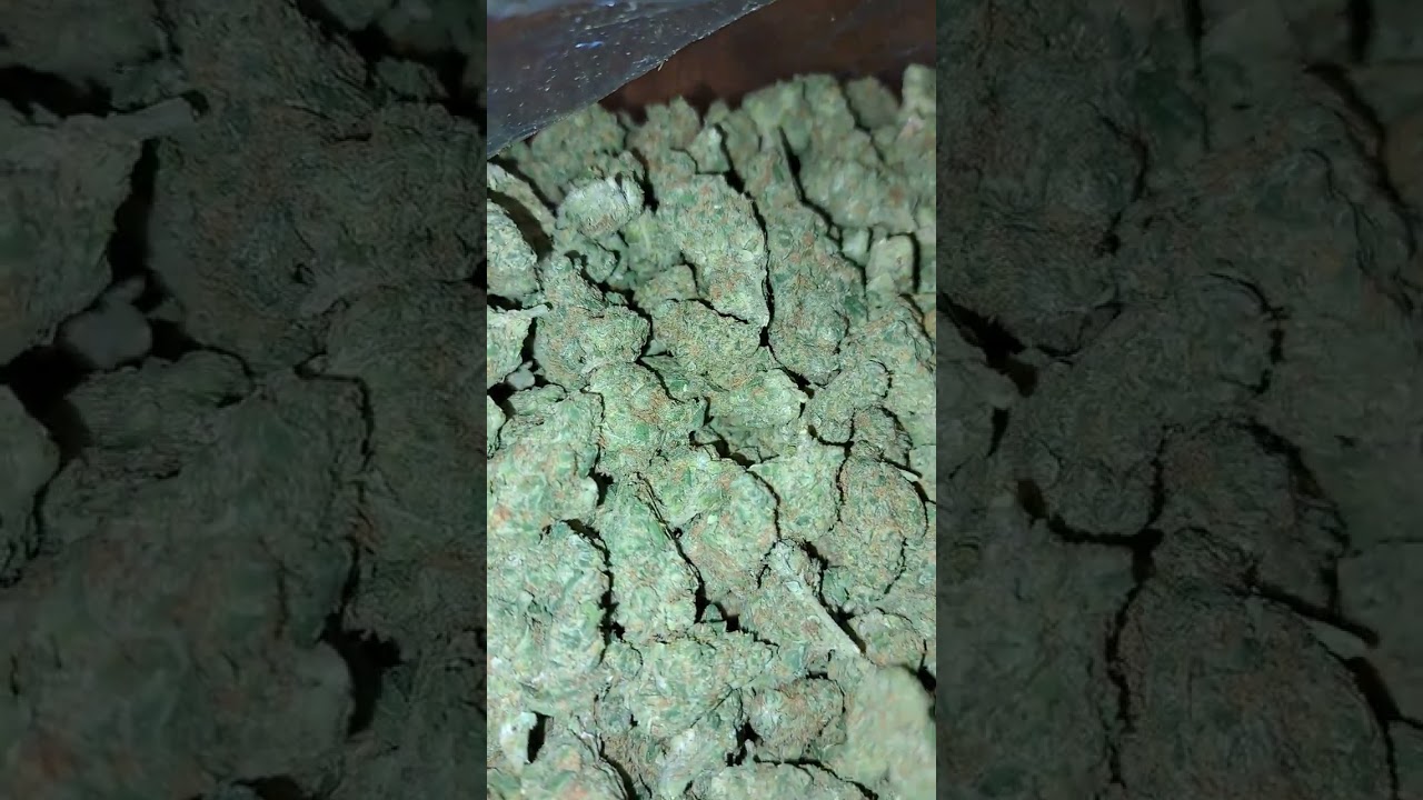 Peanut Butter Cup #exotic #gas #losangeles