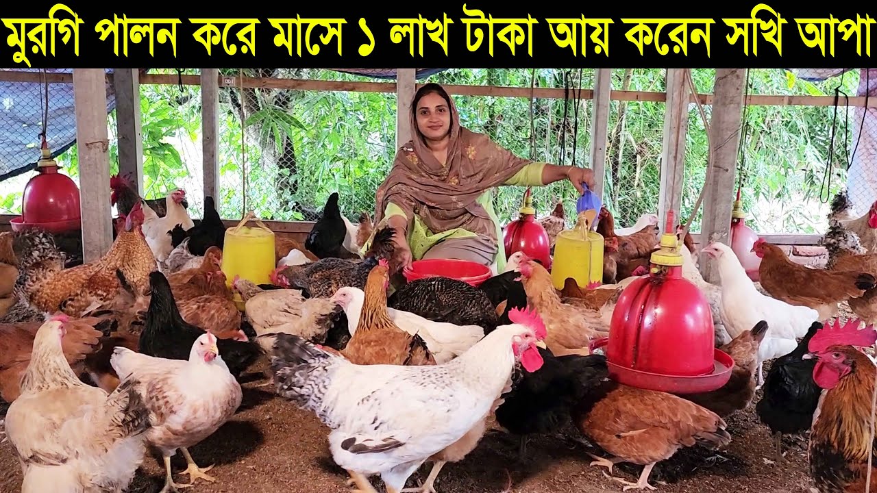 নারী উদ্যোক্তা সখি আপা টাইগার মুরগি পালন করে সফল মাসে আয় ১ লাখ টাকা  Soki apa tiger murgi farm