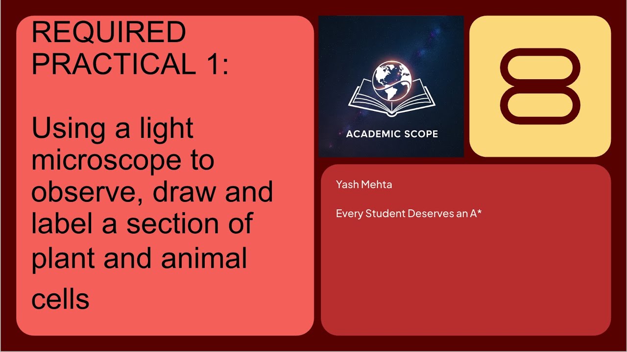 AQA GCSE Biology - Required Practical 1: Microscopy