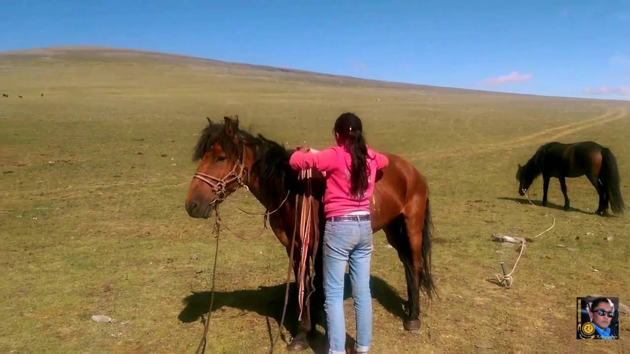Казахи, которые нашли ключ к счастью...........