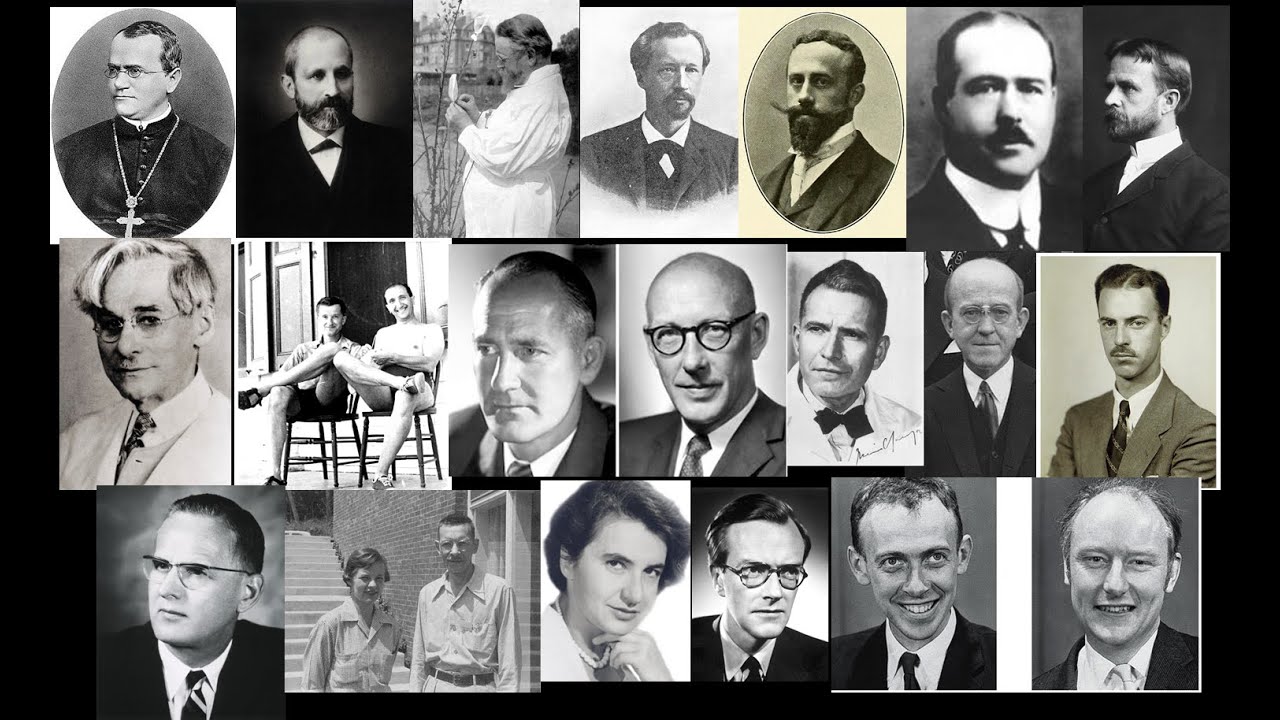 Ácidos Nucleicos - Historia