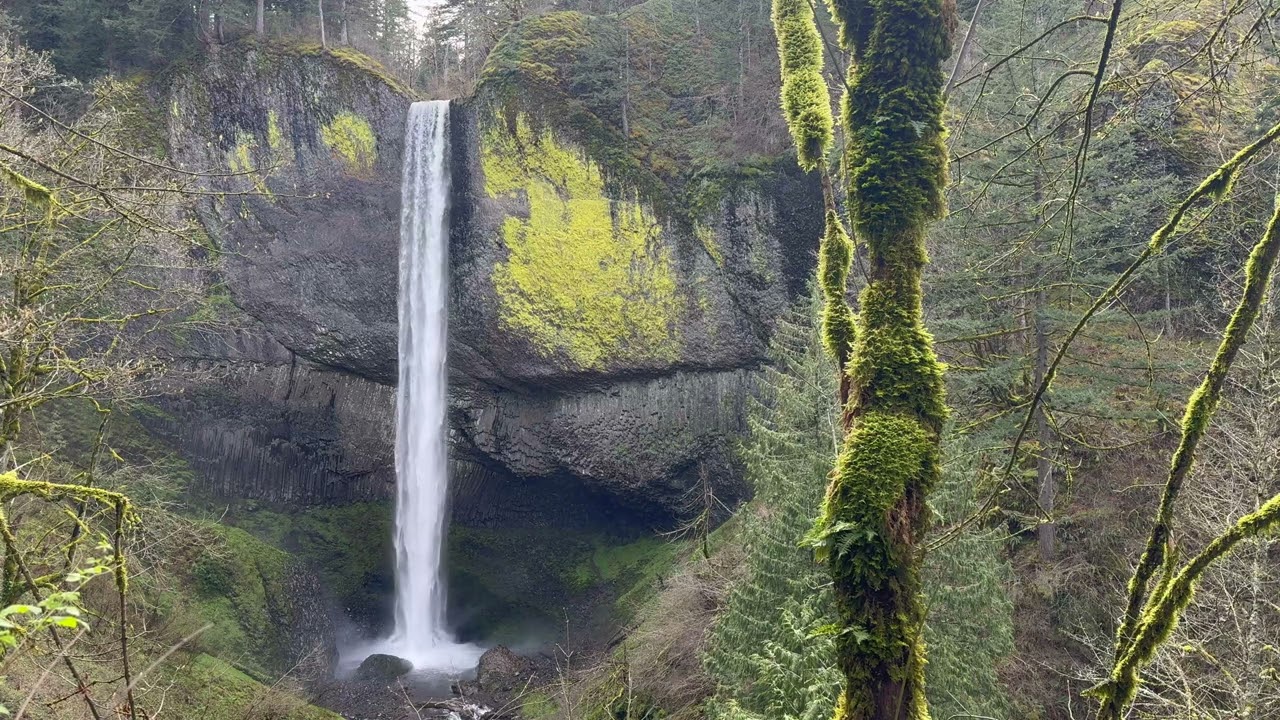 Latourell Falls, Columbia River Gorge in 4k at 60fps (Ambient Background, Relaxing, Waterfall)