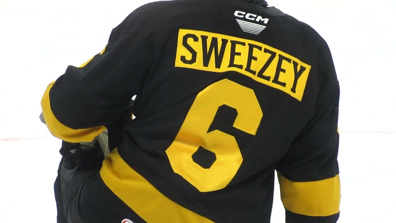 Providence Bruins vs WBS Penguins (1-14-2026)
