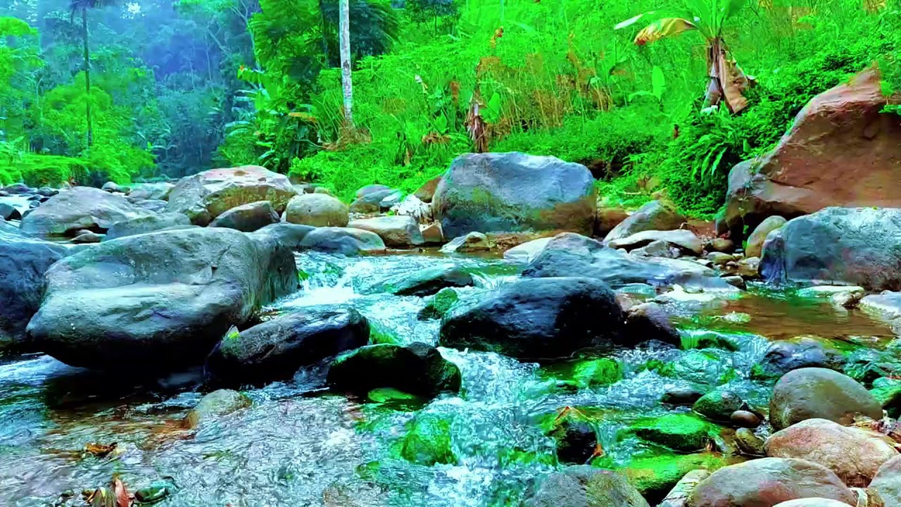 Natural River Ambience for Better Sleep, Calm Mind, and Nighttime Relaxation
