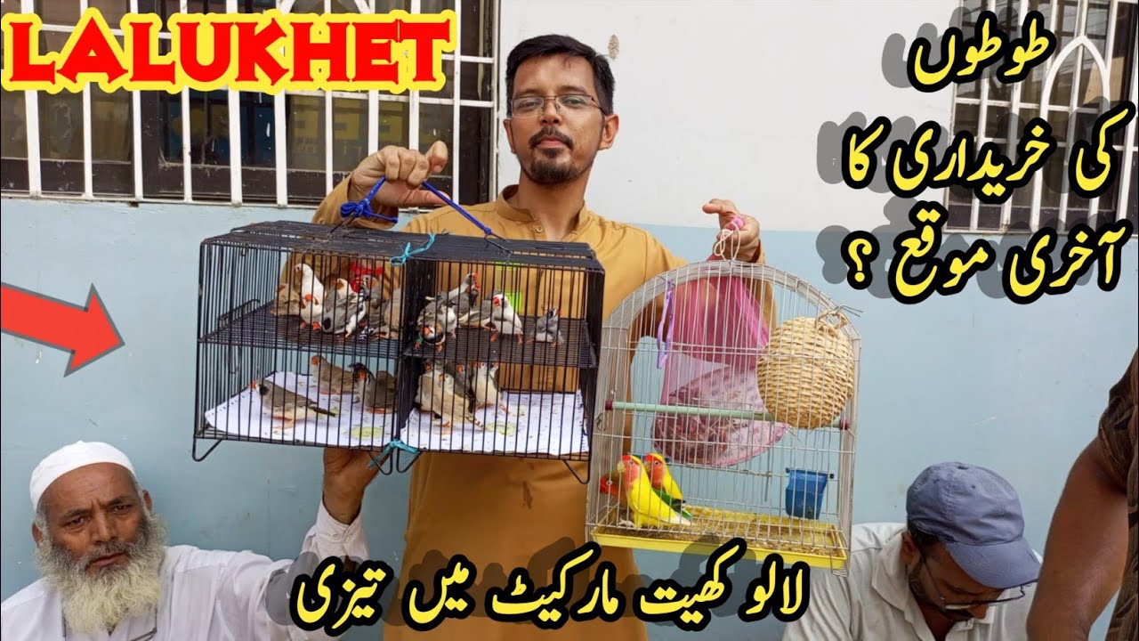 Lalukhait Sunday Biggest Birds Market In Pakistan 2022