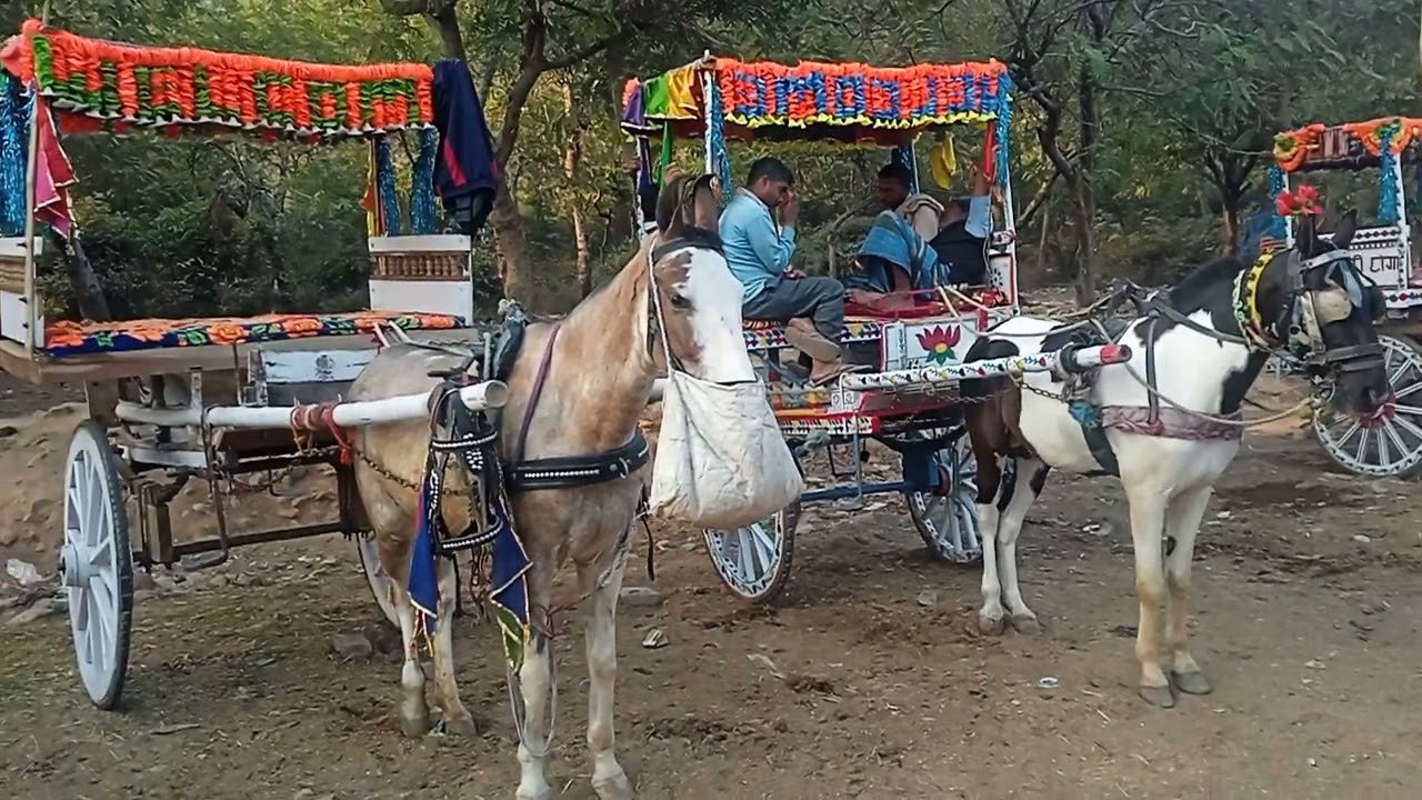 13 फ़रवरी 2023