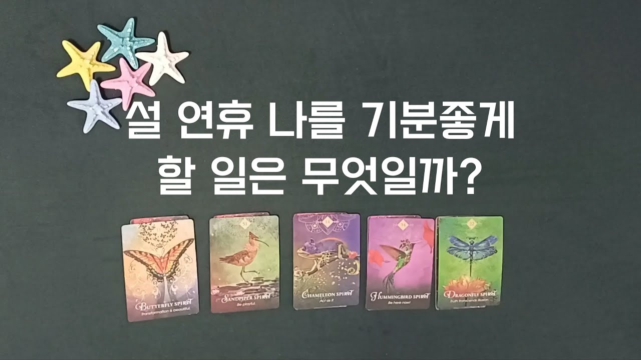 [타로] 설 연휴 나를 기분좋게 할 일은 무엇일까