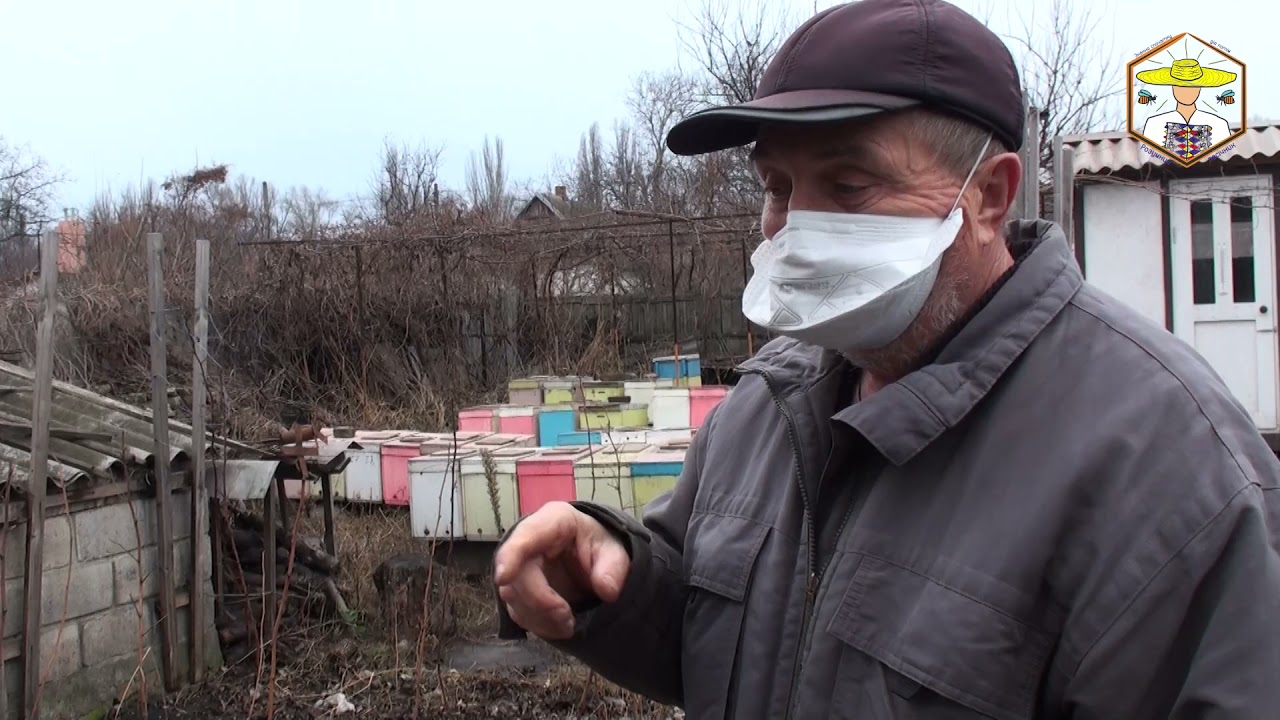 В гостях у пасечника: дядя Миша из КГБ и Шестирамочники из ППС