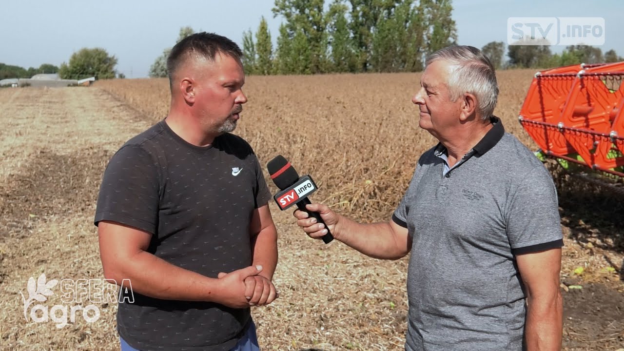 agroSFERA: Soja szansą dla produkcji roślinnej