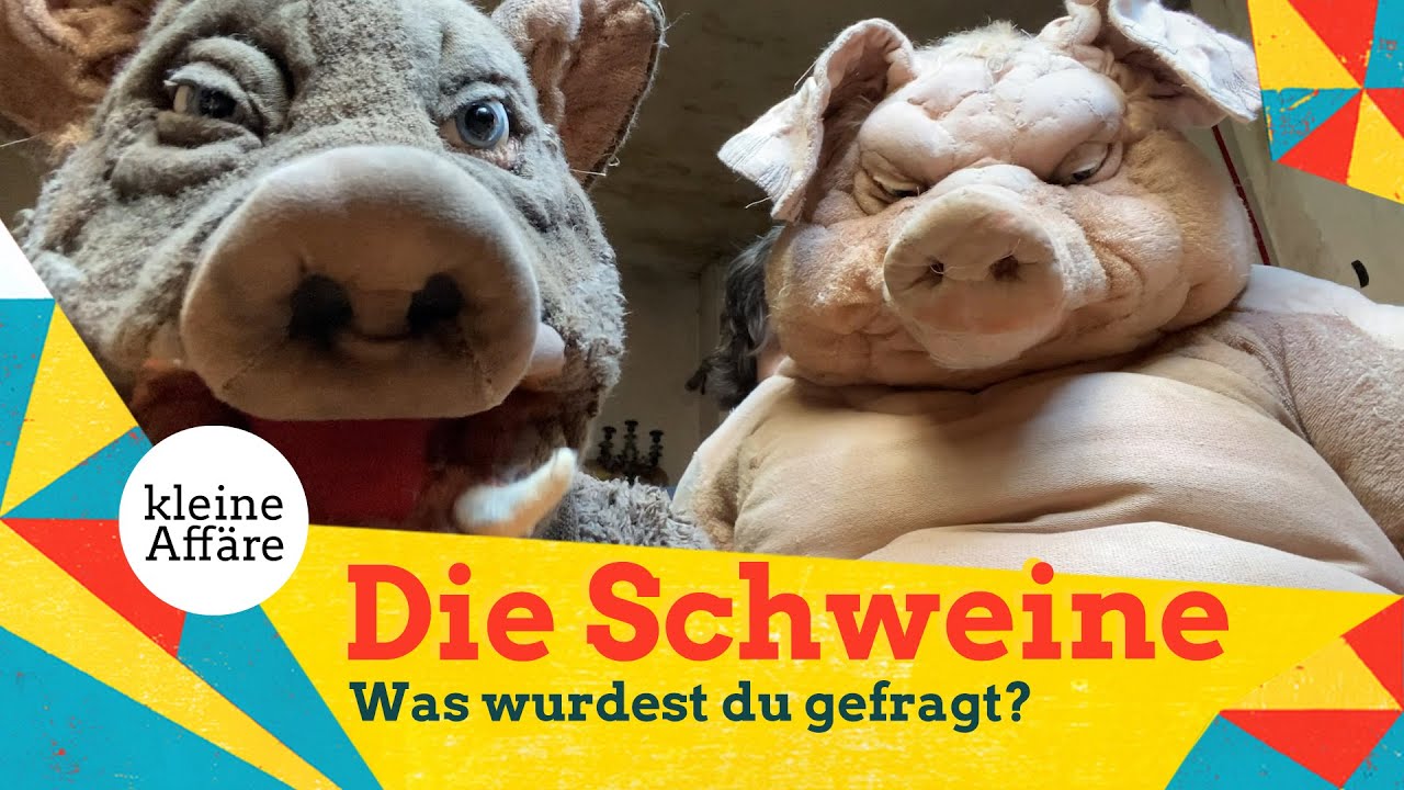 Michael Hatzius - Die Schweine:  Was wurdest du gefragt? / Steffi und Thorsten