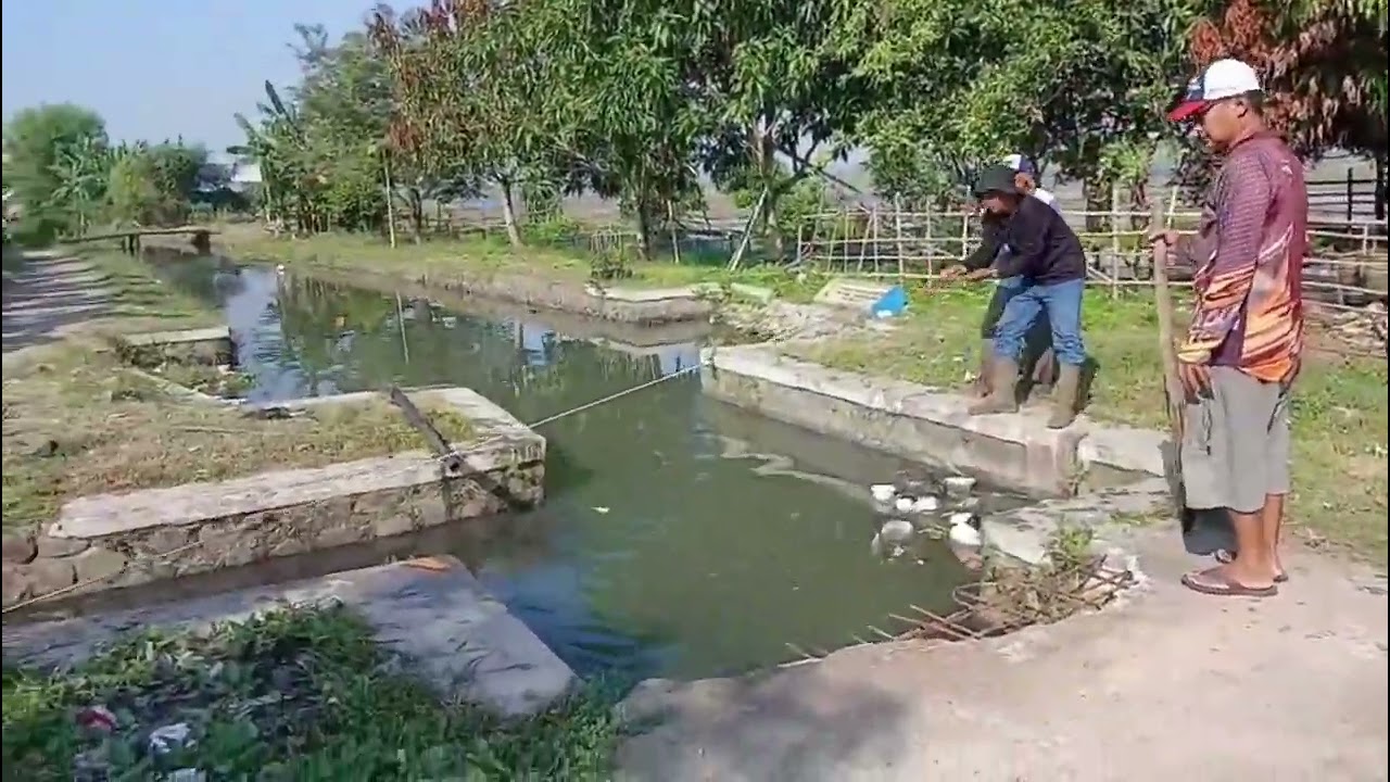Kerja bakti bersama para petani & aparatur Desa Tegalsawah Kecamatan Karawang Timur