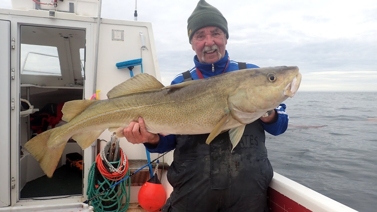 Slow Jigging for Big Cod in Iceland with seabooms.com