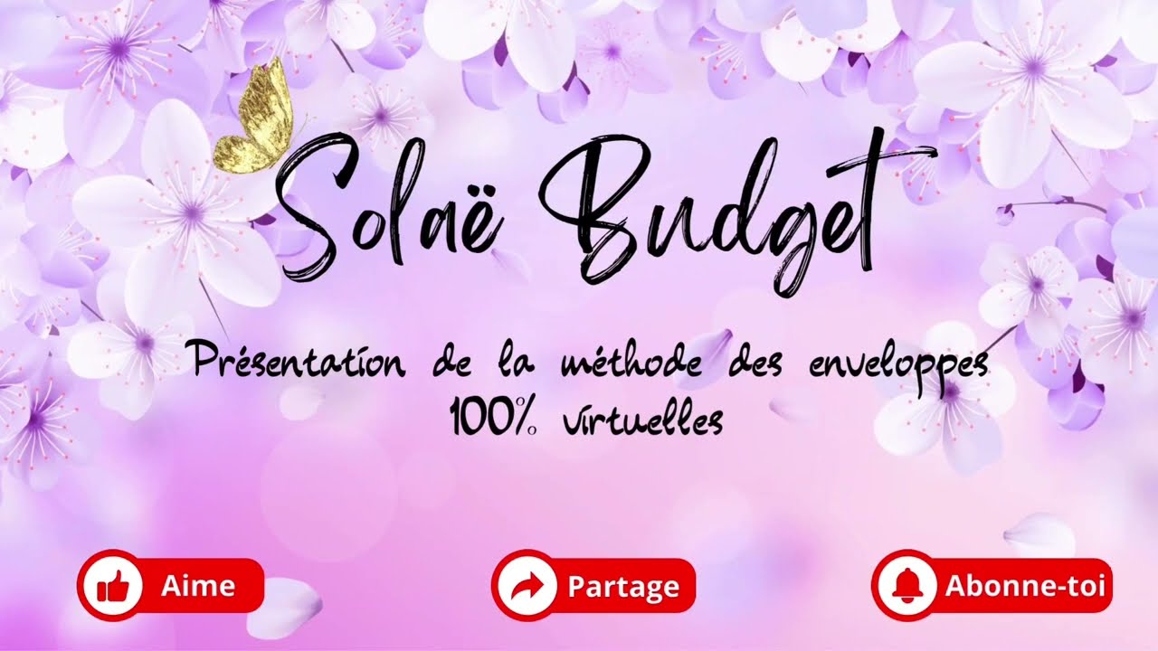 👋👋Présentation de la méthode 100% virtuelles et de mes outils 2024 #budget #enveloppesbudgétaires