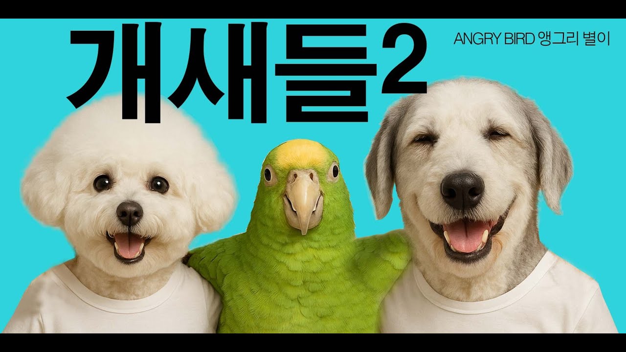 아빠 참 지루하다! / 초록이 vs 별이 2차전 막싸움 / 막말 / 앵무새가 개콘보다 더 웃기다!!  / 사람과 대화 가능한 앵무새 / ANGRY BIRD
