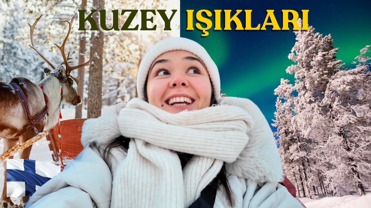 KUZEY IŞIKLARINI GÖRDÜM!  Lapland’de Ren Geyikleri, Fin Hamamı ve Fiyatlar 