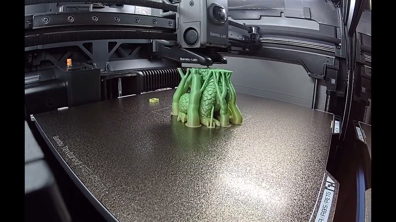 Bambu H2S - Dragon Timelapse