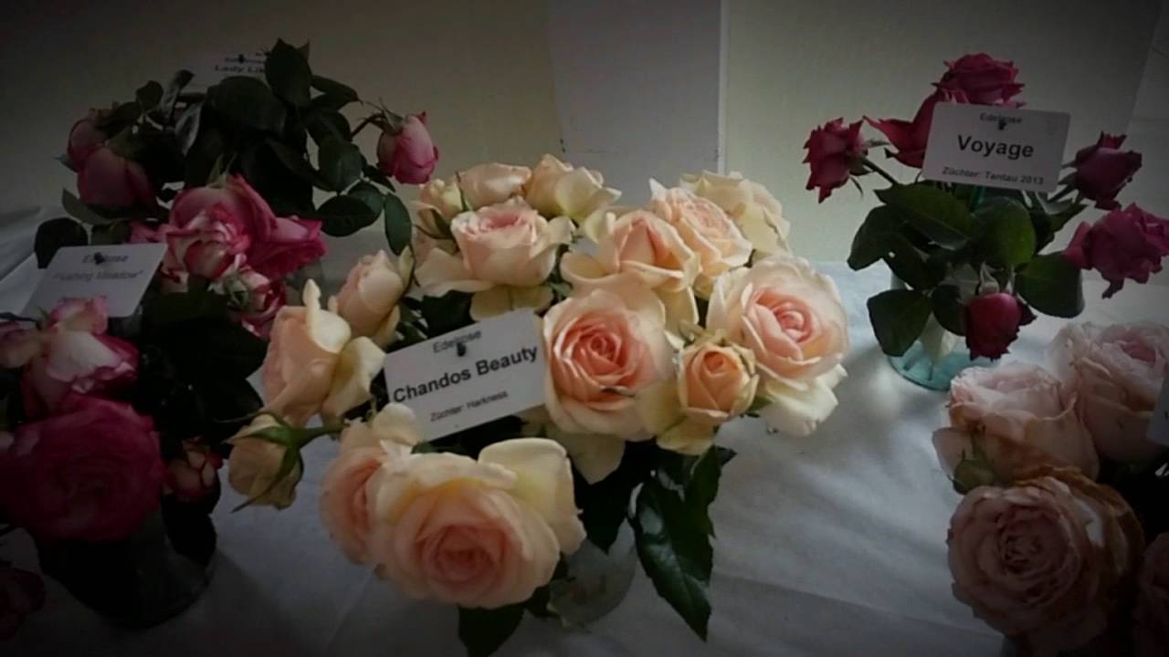 Steinfurth rosenfest 2016 (Teil 1)