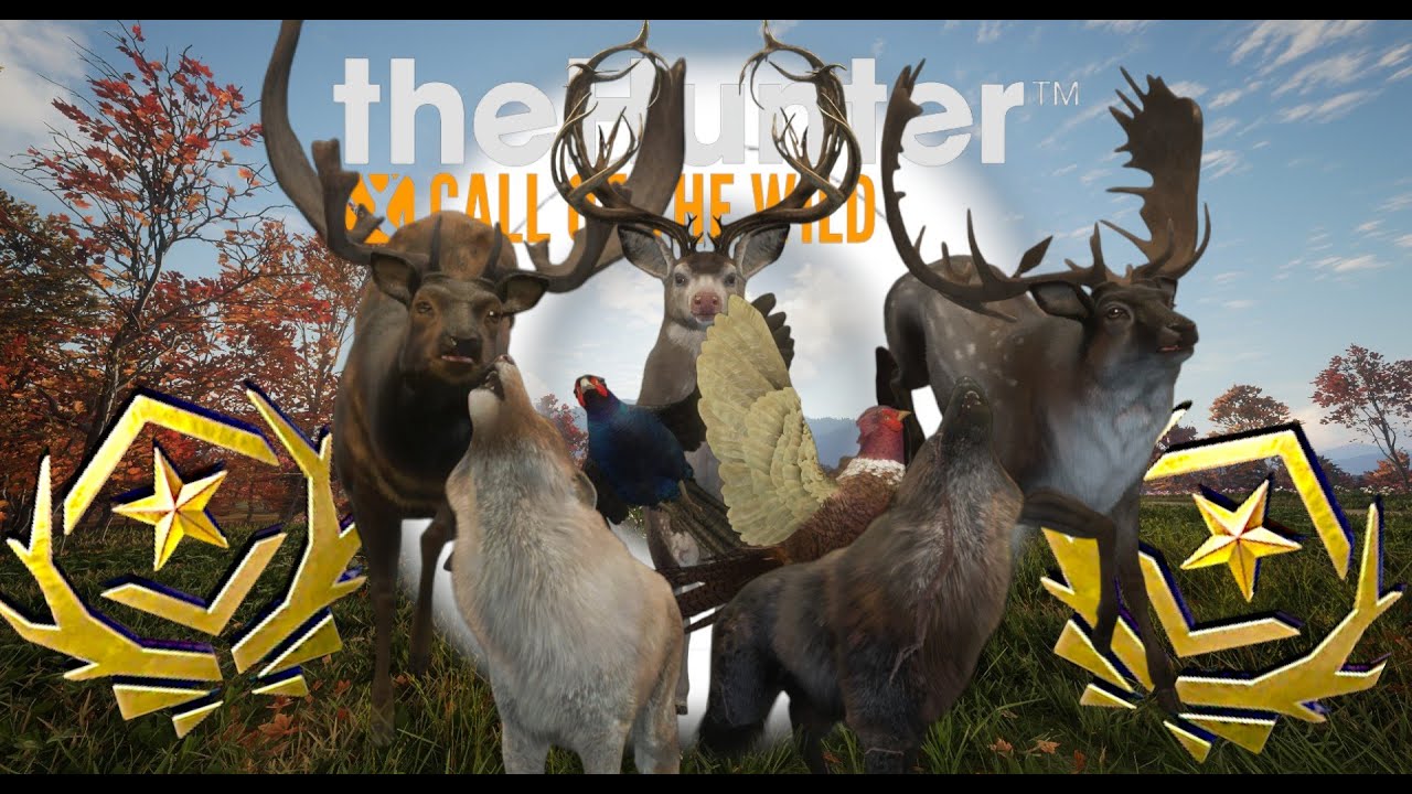 WHAT DO WE GRIND TODAY? STARTING WITH FALLOW! | The Hunter Call of the Wild