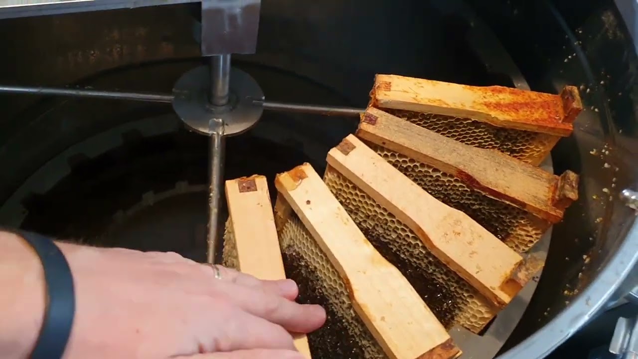 Ultima extractie de miere marfa pe 2022. A fost un an extraordinar pentru mine!