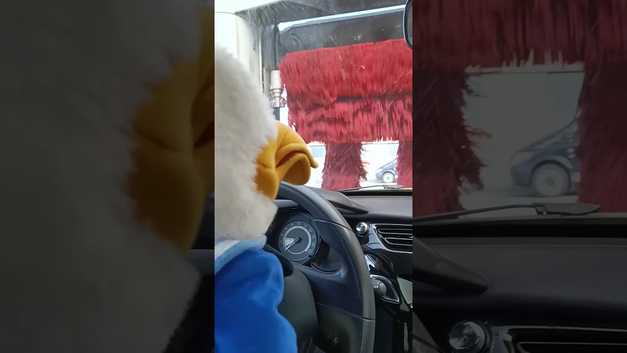 Cuando ten&iacute;as 5 a&ntilde;os y tus padres iban a lavar el coche 🚙