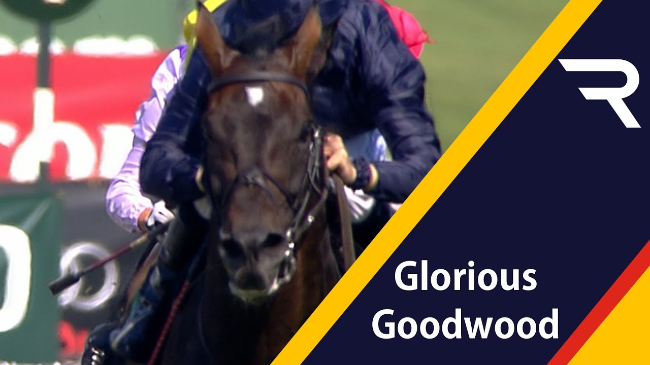 Brilliant stayer Yeats cruises to Goodwood Cup victory (2006) | Racing TV