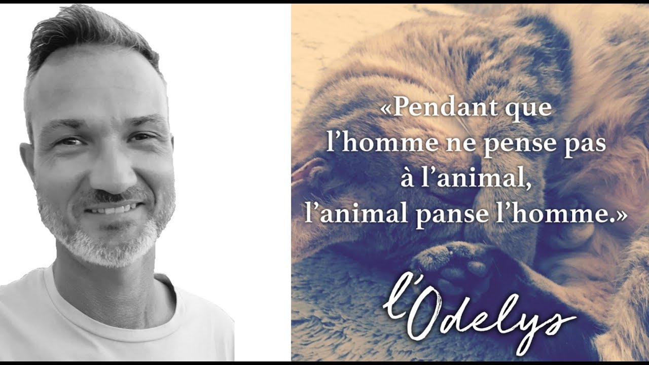 Bilan de l'action pour soutenir la cause animale