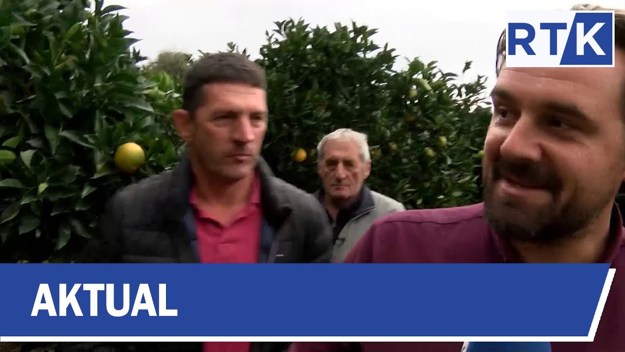 AKTUAL - AGRUMET NË SHTOJ TË ULQINIT   21.11.2019