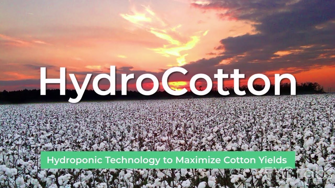 HydroCotton- Agriculture Technology to Maximize Indian Cotton Yields