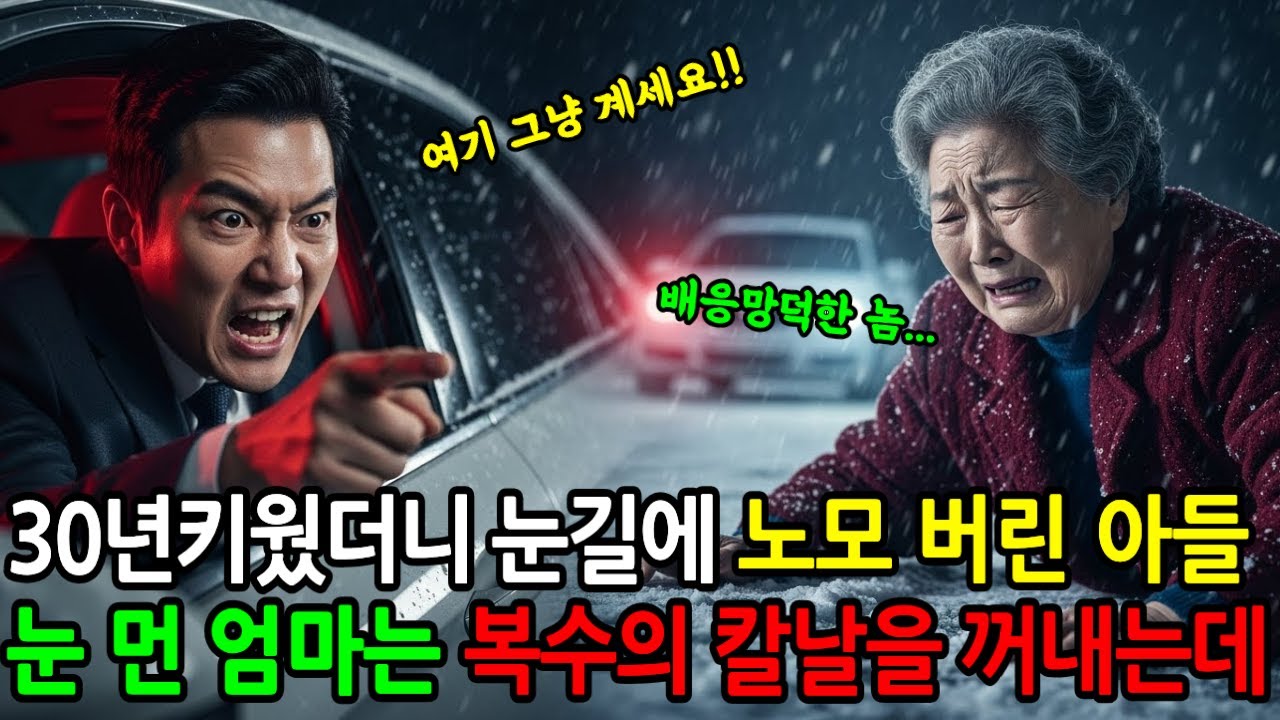 눈오는날 버려진 눈먼 노모, 복수를 시작하는데... |오디오북|노후사연|인생사연