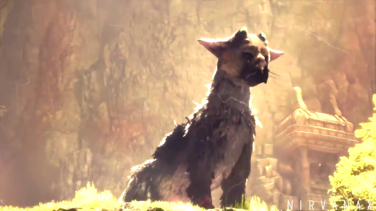 ｗｅ ｇｏ ｗｈｅｒｅ ｎｏ ｏｎｅ ｇｏｅｓ|The Last Guardian GMV|