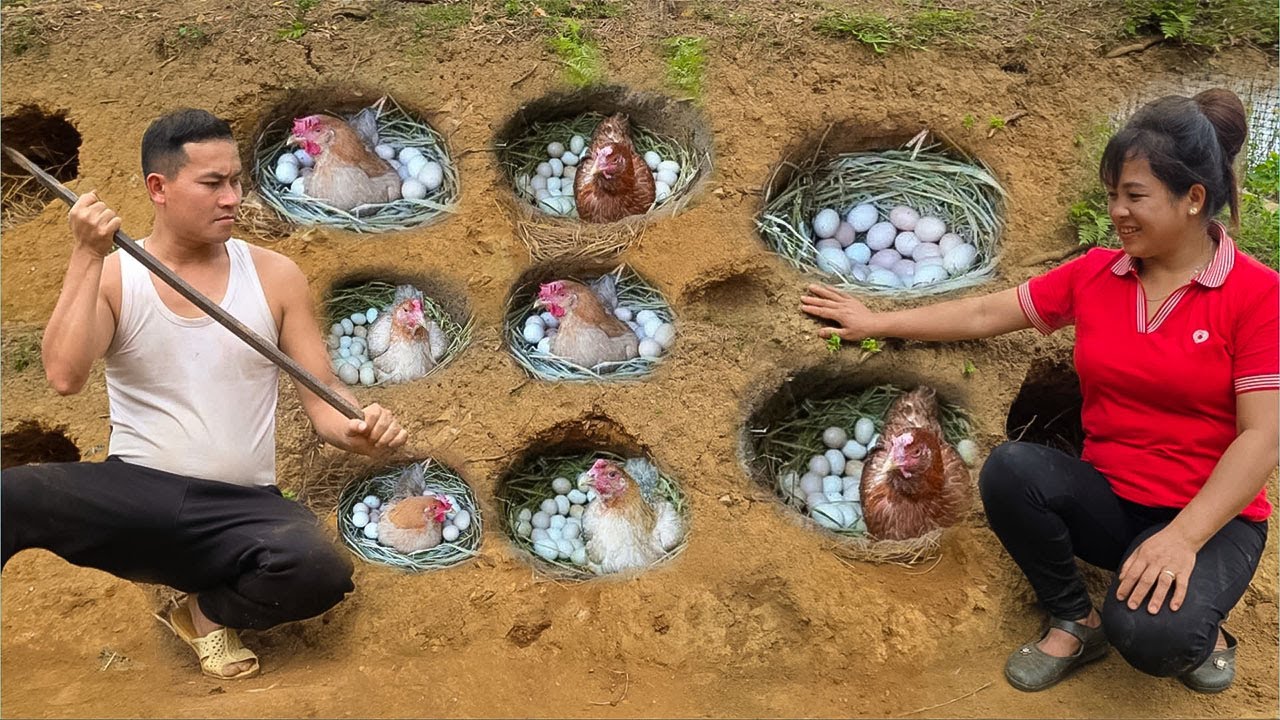 CEO Ngoc and Ly Tu Nga create unique chicken nests underground and the happiest meal |@lytunga90