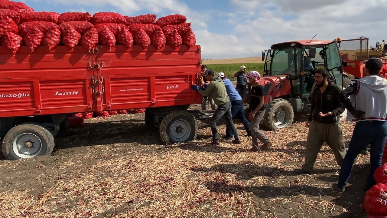 Tümosanın imtihanı ! 15 ton yükle 74 80 tümosanın atası yükü çıkartamadı