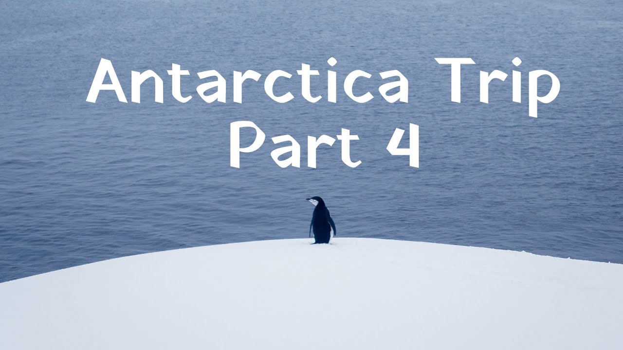 Antarctica trip part 4 (Useful Island, Booth Island, and Yalour Island)
