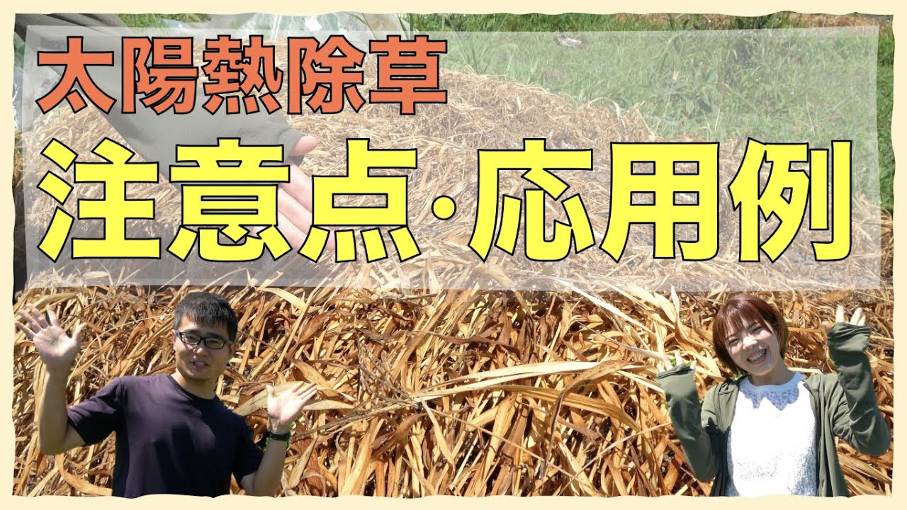 【バクチャーライフ】太陽熱除草！注意点と応用例を紹介します！
