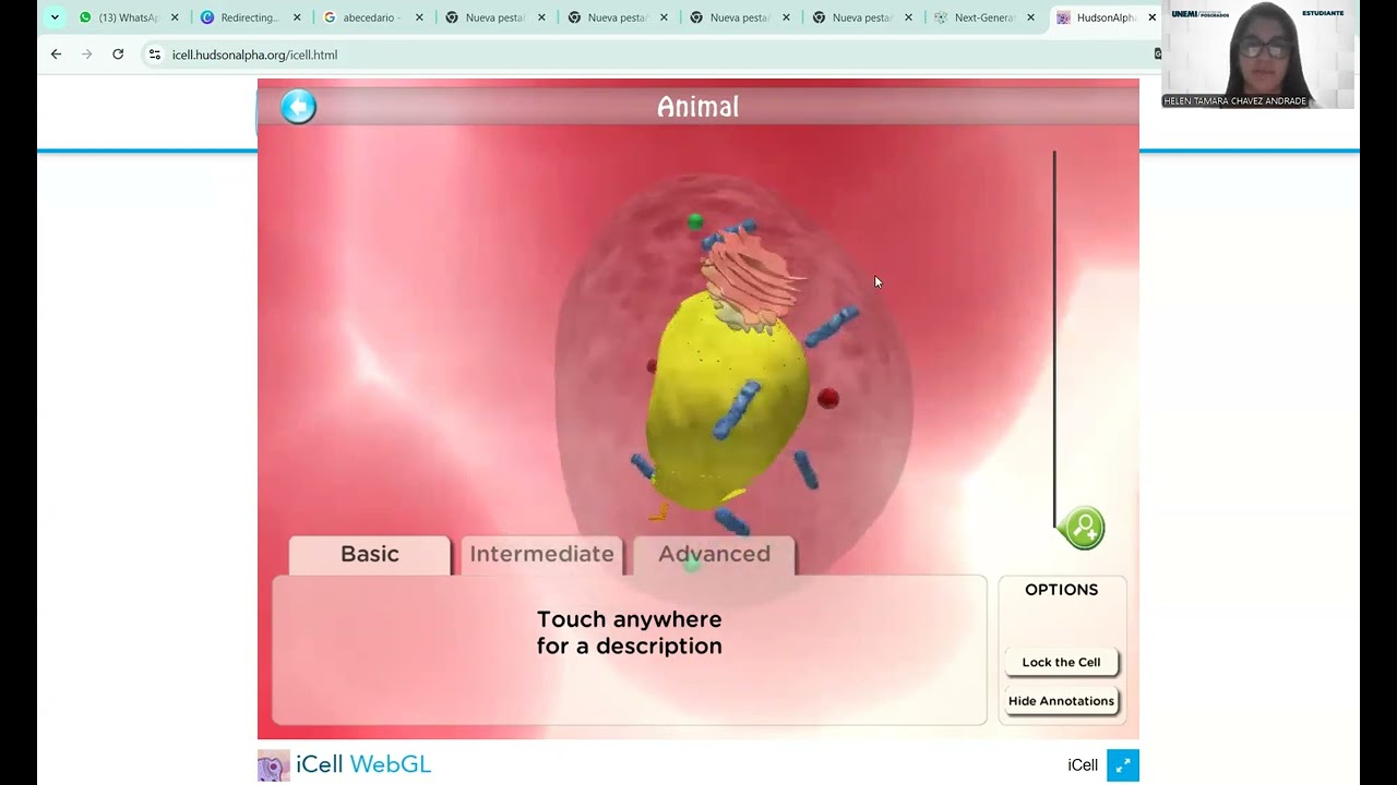Plataforma de simulaci&oacute;n virtual iCell