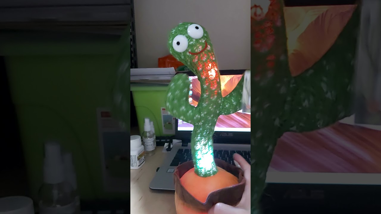 Cara Menyalakan Boneka Cactus Dancing Recording