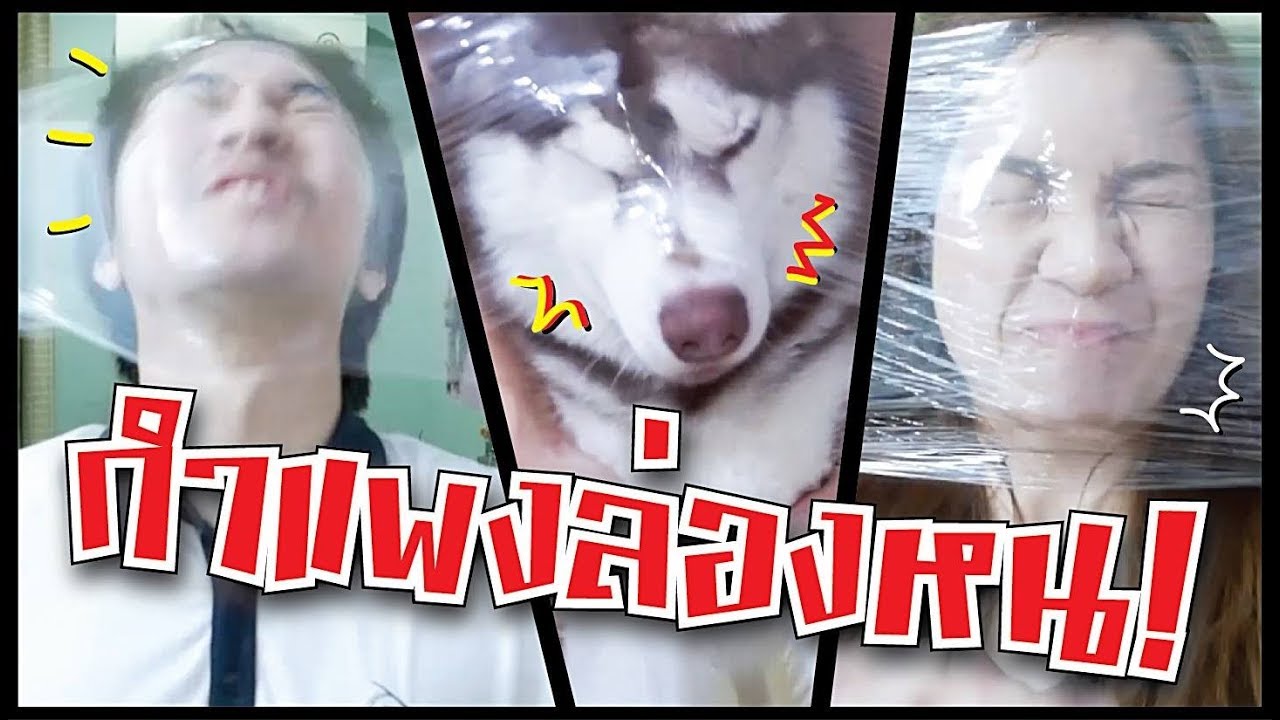กำแพงล่องหน!! แกล้งหมา!! // ไม่มั่นใจว่าแกล้งหรือโดนแกล้ง?!