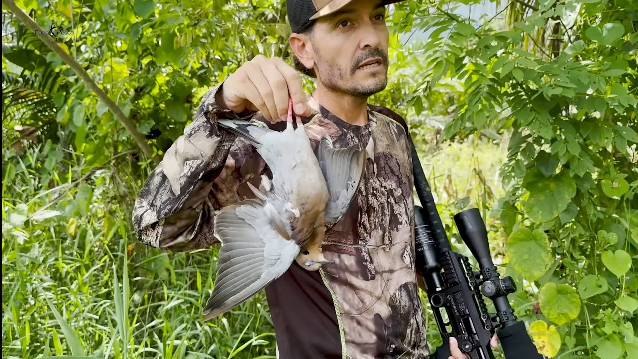 Caza De Palomas Con Camara En La Mira