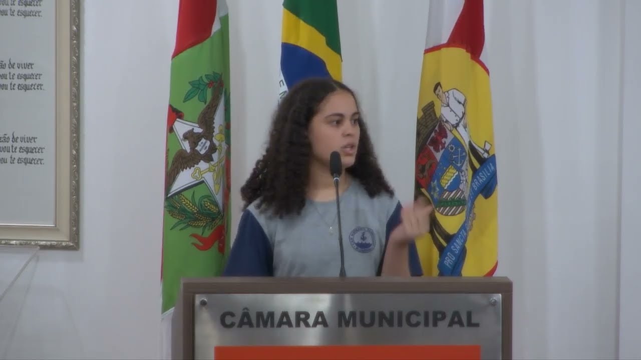 Pronunciamento Mirim Alice Schlemper Andrieti - 09/03/2026