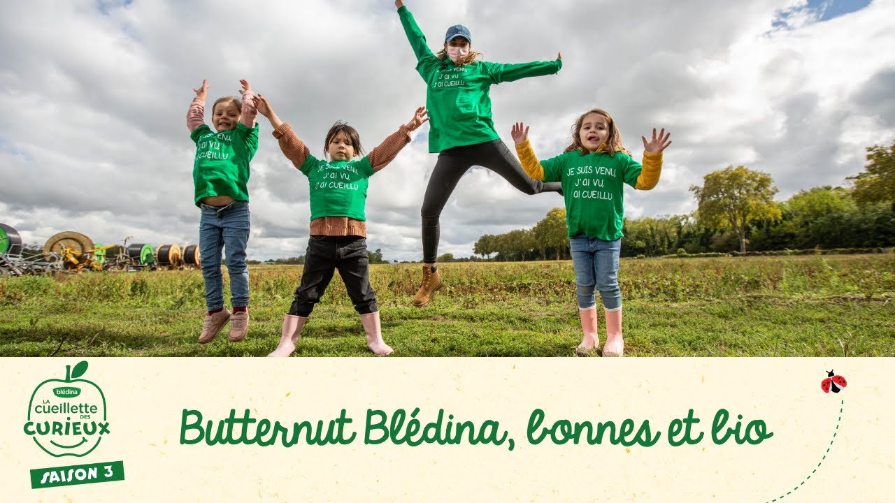 Les belles butternut bio dont bébé raffole - La Cueillette des curieux 2020