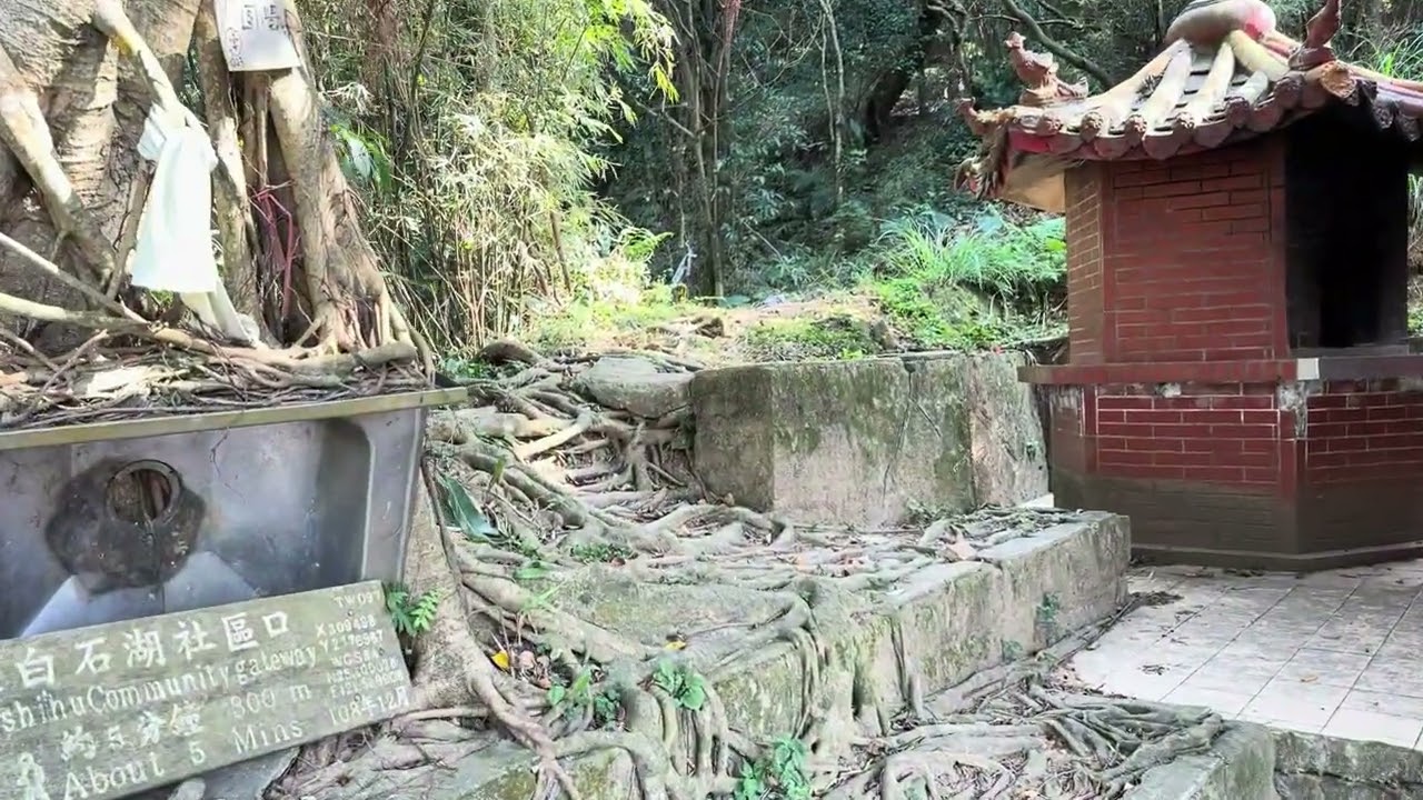 20260210 跟隨 Tony 的腳步 第八集 內湖白石湖吊橋 碧山巖 （殘念 沒走完）