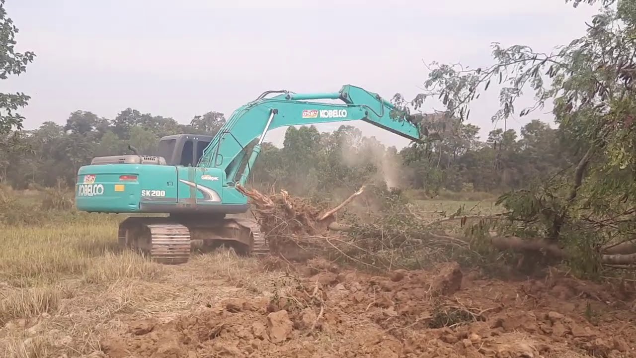 ตีปลวก ต้นไม้ งานเคลียริ่ง แรงเร็ว kobelco sk200-8 super YN12 14000 ชม. จัดเต็ม excavator EP.7999